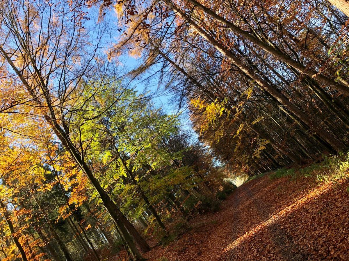 Ferienwohnung Tannenglueck Schmallenberg Bagian luar foto